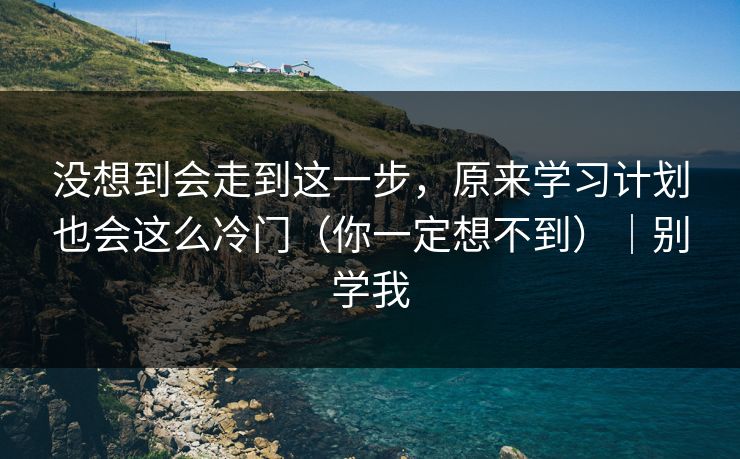 没想到会走到这一步，原来学习计划也会这么冷门（你一定想不到）｜别学我