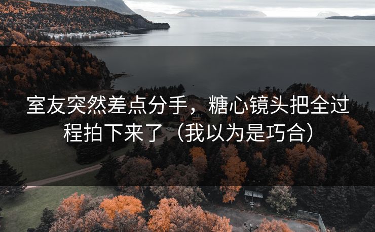 室友突然差点分手，糖心镜头把全过程拍下来了（我以为是巧合）