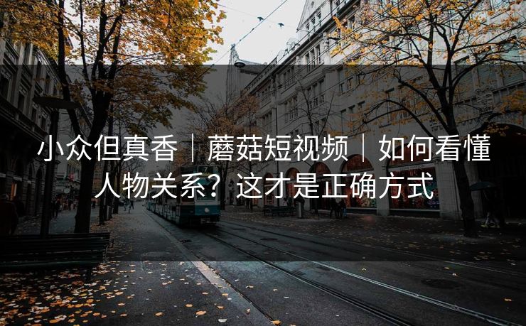 小众但真香｜蘑菇短视频｜如何看懂人物关系？这才是正确方式