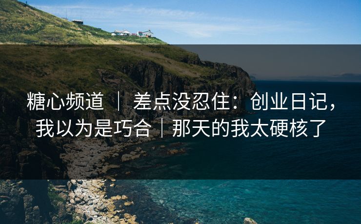 糖心频道 ｜ 差点没忍住：创业日记，我以为是巧合｜那天的我太硬核了
