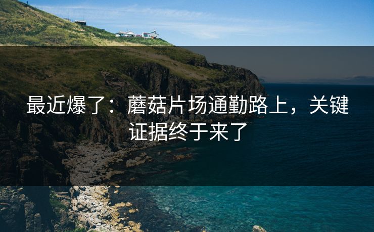 最近爆了：蘑菇片场通勤路上，关键证据终于来了