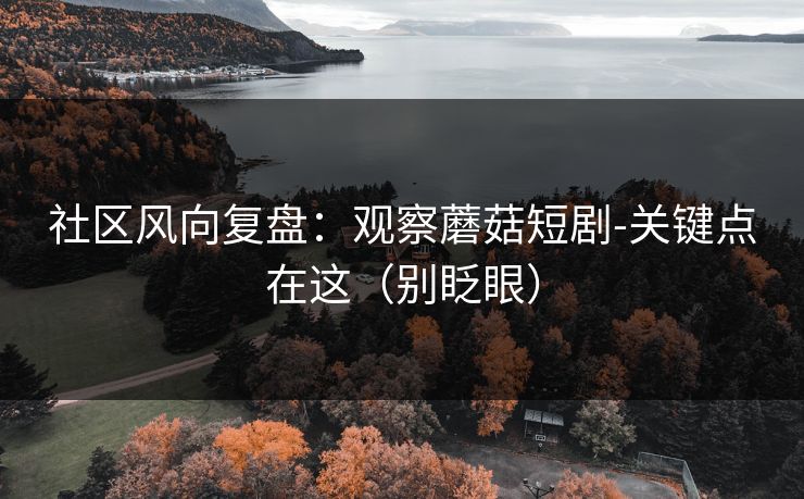 社区风向复盘：观察蘑菇短剧-关键点在这（别眨眼）