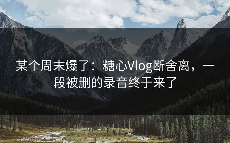 某个周末爆了：糖心Vlog断舍离，一段被删的录音终于来了